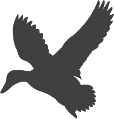 Logo for Black Duck Spirits and Hearth, a restaurant in Northeast Minneapolis